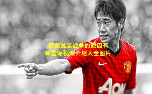 德国发起战争的原因有哪些呢视频介绍大全图片