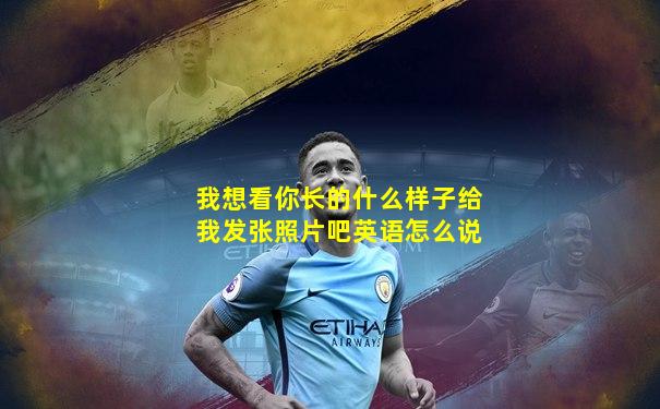 我想看你长的什么样子给我发张照片吧英语怎么说