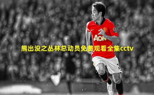 熊出没之丛林总动员免费观看全集cctv