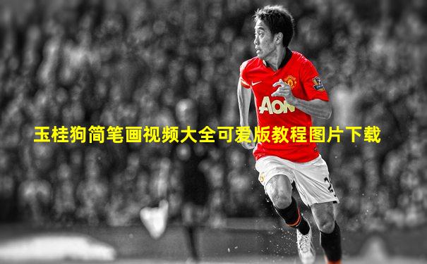 玉桂狗简笔画视频大全可爱版教程图片下载