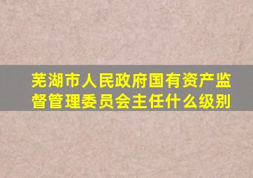 芜湖市人民政府国有资产监督管理委员会主任什么级别