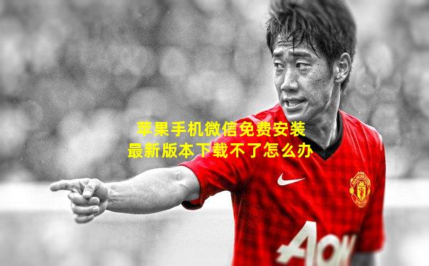 苹果手机微信免费安装最新版本下载不了怎么办