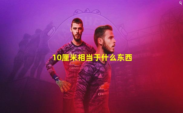 10厘米相当于什么东西