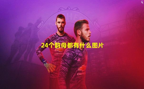 24个韵母都有什么图片