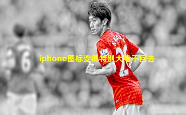 iphone图标变得特别大缩不回去