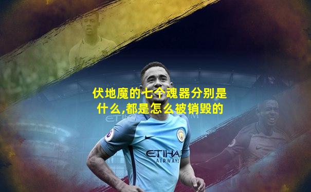 伏地魔的七个魂器分别是什么,都是怎么被销毁的