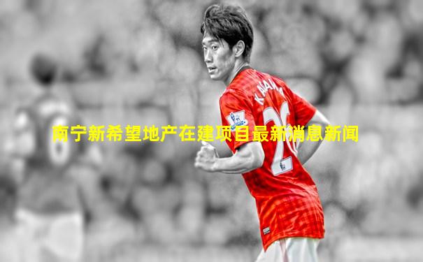 南宁新希望地产在建项目最新消息新闻
