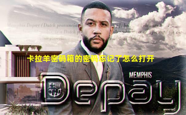卡拉羊密码箱的密码忘记了怎么打开