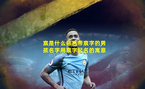 宸是什么意思带宸字的男孩名字用宸字起名的寓意