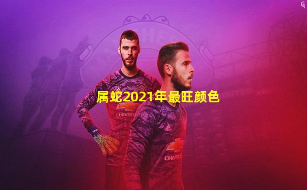 属蛇2021年最旺颜色