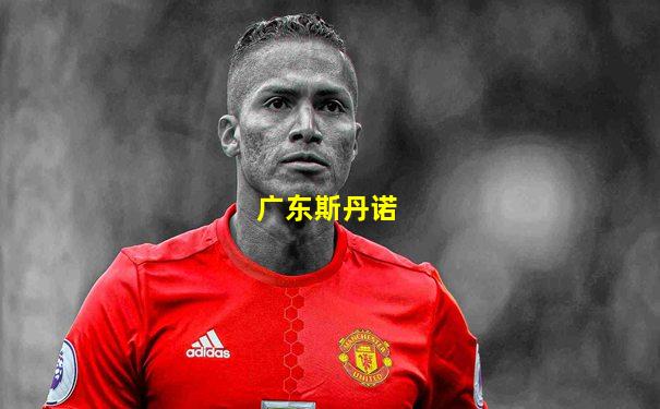 广东斯丹诺