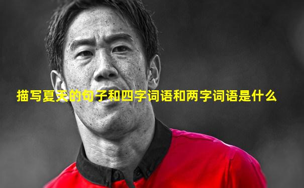 描写夏天的句子和四字词语和两字词语是什么