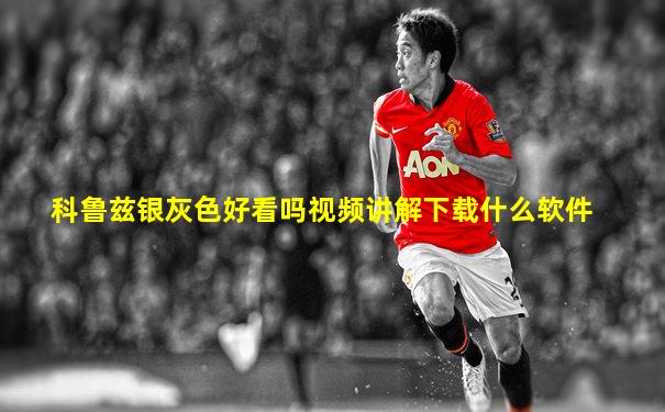 科鲁兹银灰色好看吗视频讲解下载什么软件