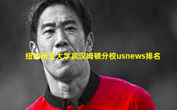 纽约州立大学宾汉姆顿分校usnews排名