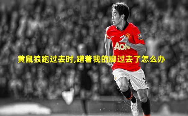 黄鼠狼跑过去时,蹭着我的脚过去了怎么办